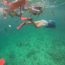 완산-11 | 대전 전주 프리다이빙 강습 추천, 완산수영장 물중독 크루 솔직후기