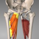 베이스오브바디 이미지