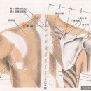 여주한의원 이미지