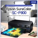 페트레잇 | 전문가용 포토 프린터 EPSON SC-P800 도입