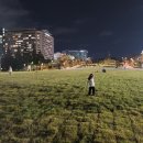 문화광장길 이미지