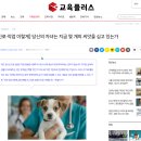 칼럼플러스