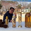 순천만연농원 이미지