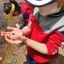 본아미강남어린이집 이미지