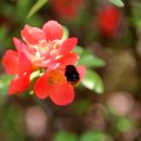참어울림