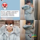 개풍한의원 | [애봉이닷컴 11월 마지막 진행 / 개풍성 니얼굴 조막시리즈 리얼라쿤패딩 / 펜디st수입 캐시미어니트...