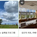 숲에오름협동조합 이미지