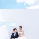 레이디로즈스튜디오
