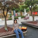 6416 | 나이키 줌X 스트릭플라이2 HF6416-800 사이즈와 첫인상, 가벼운 단거리 러닝화 선물 후기