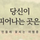 민들레여행 이미지