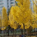 안성여자고등학교 이미지