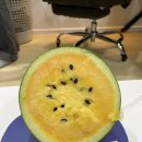 곽씨네편의점 | [일기] 곽씨네 집들이 망고수박 후기🍉