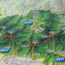 소풍(동행) 이미지