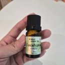 용산-212 | 용산역 마사지 잘하는 곳 브레인팡아로마, 차원이 다른 스트레칭 + 전신마사지 :)