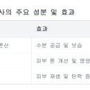 대치뷰티라운지의원 이미지