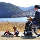 쇼미더펫 이미지