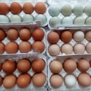 새온농원 이미지