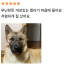 은행동 2352 | 일기_240908