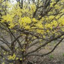 새봄 행정사사무소 이미지