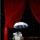 ♡Welcome to Cirque du Soleil 'Quidam' ♡ 마티네 할인 공연 추가 오픈!!! 이미지