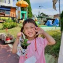 안중유치원 이미지