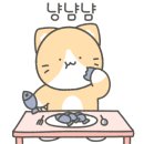 오늘은오징어
