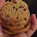 가사목장 | 노르웨이 트롬쇠 순록 투어 후기｜순록 썰매, 사미족 문화