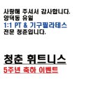 청춘 P.T 이미지