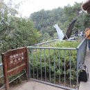 화랑관광 Daum카페