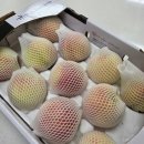 지훈농장 이미지