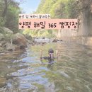 해밀캠핑장 | 계곡 대만족 양평 해밀365캠핑장 후기