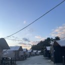 힐링포레스트 | 경기 근교 글램핑 추천 | 대부도 글램핑 글램포레스트 내돈내산 힐링후기