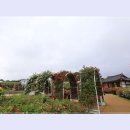 곡성-036 티스토리