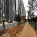 디아너스 이미지