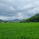 유계농장 이미지