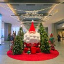 롯데애견 | 동탄 롯데백화점 크리스마스 마켓 애견동반 솔직후기 개모차 대여가능 실내 강아지랑 가볼만한곳