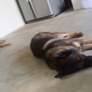 명전 농장 이미지