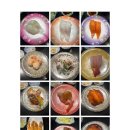 연암공업대학교 입구 | 마운자로 7일차 후기