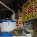 민속원조갈비 이미지