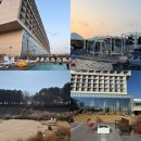 평화사우나휘트니스 | 인천 영종도 네스트호텔 수영장 후기 사우나와 산책로까지 즐긴 호캉스