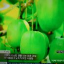 오첩반상 이미지