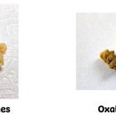 정샘동물병원 이미지