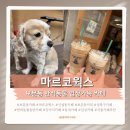 마르코웤스 - 187645 | 보문동 카페 추천, 마르코웤스 반려동물 동반 가능한 감성 골목 카페 후기 내돈내산