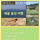 외연도4 이미지