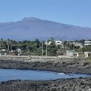 퀸크루즈2 이미지