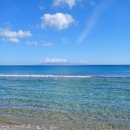 파라다이스 이미지