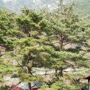 수안테크 이미지