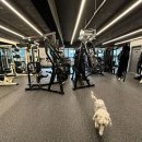 피티홀릭짐 이미지