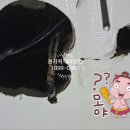 성우전파사
