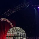 천지동 골드슈퍼 앞 | 괌 PIC 슈퍼 아메리칸 서커스 후기｜골드패스로 아이들과 관람